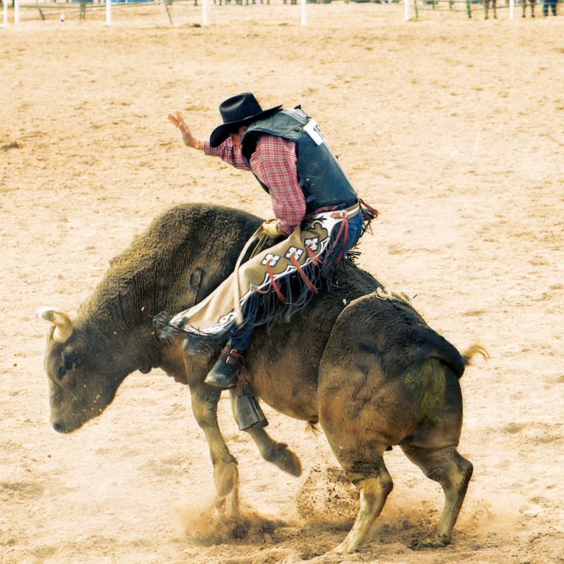 Man riding a bull